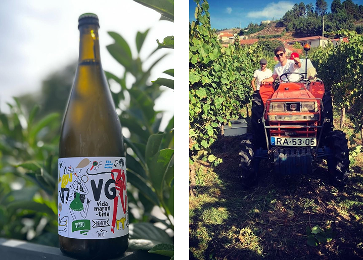 Quintas de Vila Garcia